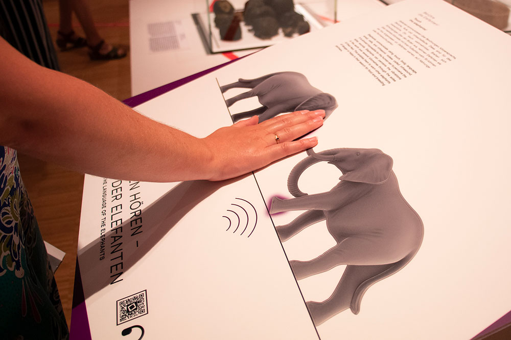 Thanks to an innovative electronic system, visitors can feel the vibrations that the elephants transmit to the ground - © Tactile Studio