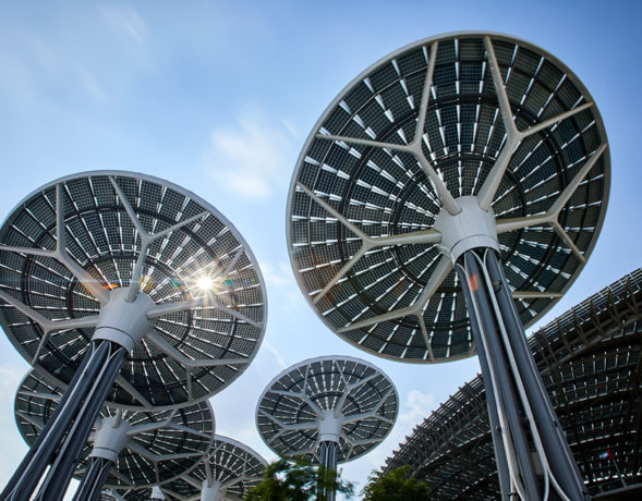 Image présentant des arbres solaires vus de dessous - © Expo 2020 Dubaï