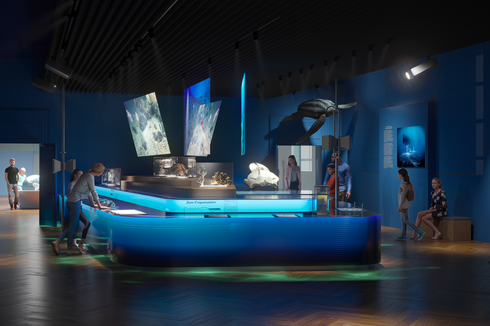 3D rendering of the future exhibition room "Ocean" of the Strasbourg Zoological Museum - © dUCKS scéno