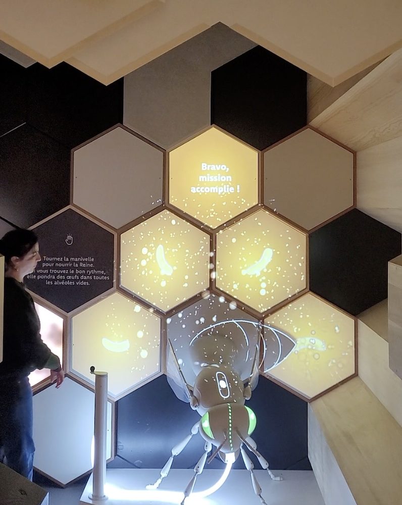 finfarine_manipeAbeille finfarine_manipeAbeille